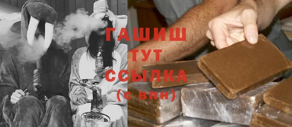 стаф Алексин