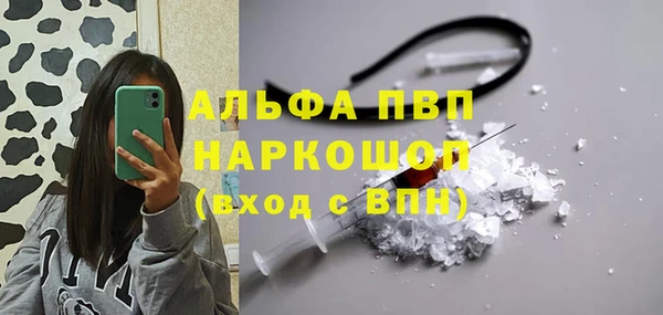 винт Алзамай