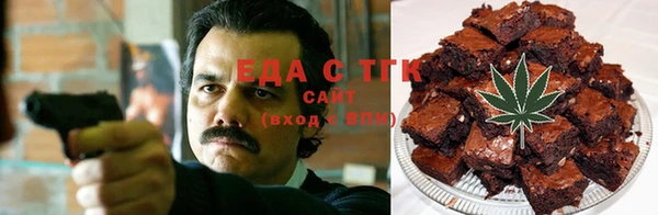 стаф Алексин