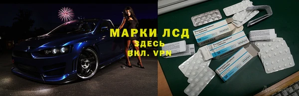 стаф Алексин