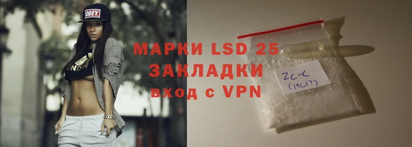 винт Алзамай