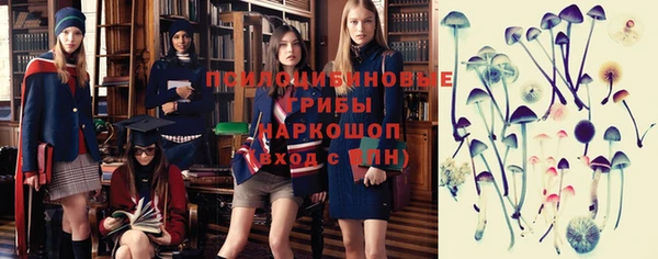 мдпв Семёнов
